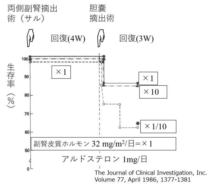 ファイル:CortisolSurgery.jpg