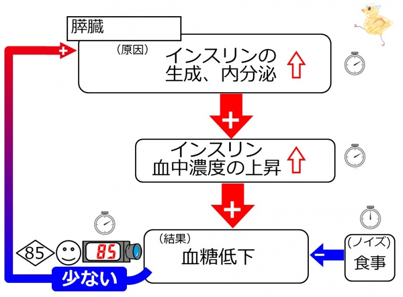 ファイル:インスリンの正常反応.jpg