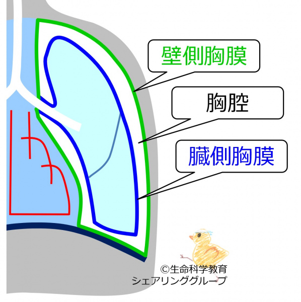ファイル:03845.jpg