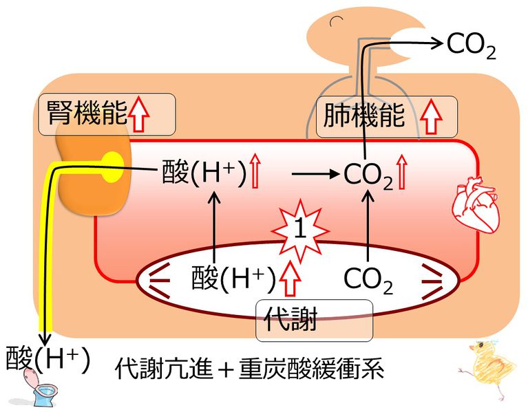 ファイル:04388.jpg