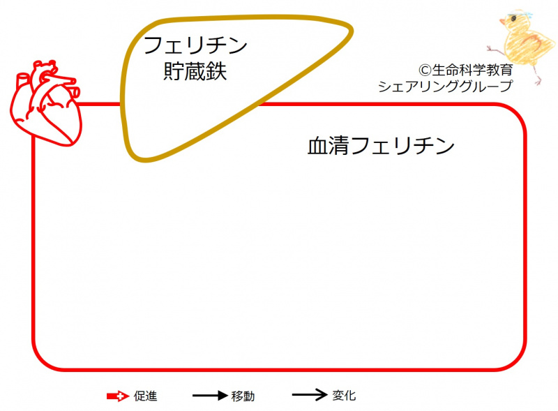 ファイル:04424-wb.jpg
