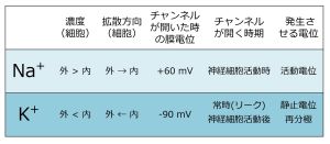 /wiki/images/thumb/9/99/Kchannel_Nachannel_ja.jpg/300px-Kchannel_Nachannel_ja.jpg