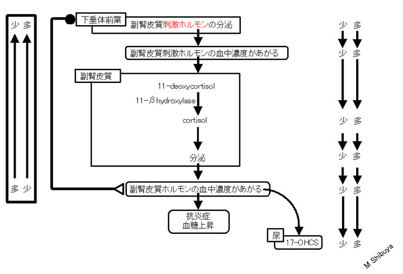 ファイル:00798.jpg