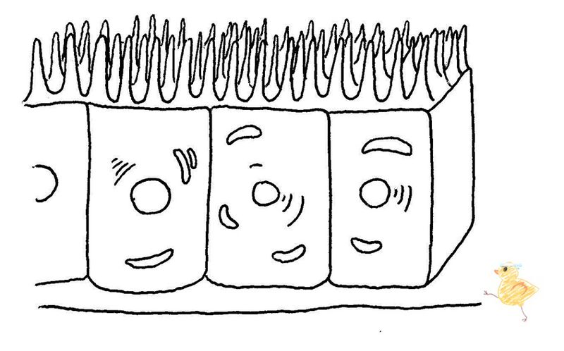 ファイル:03435.jpg