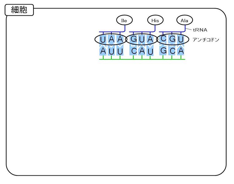 ファイル:02446.jpg