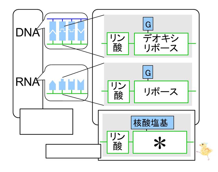 ファイル:04138.jpg
