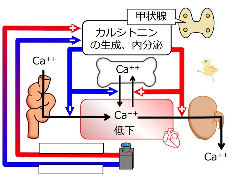ファイル:04419-wb.jpg