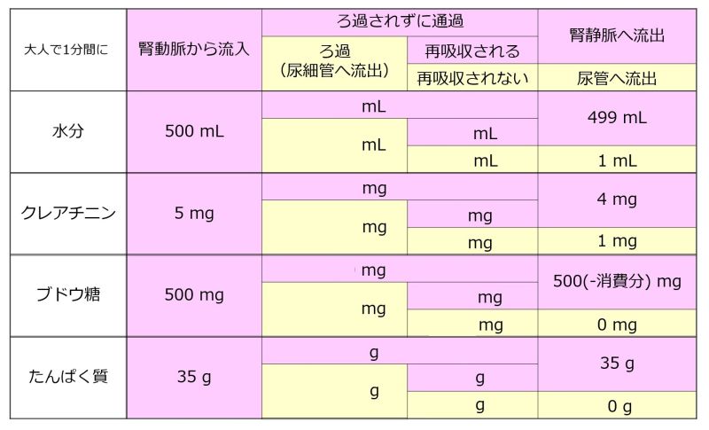 ファイル:Nephronsummarytable-wb.jpg