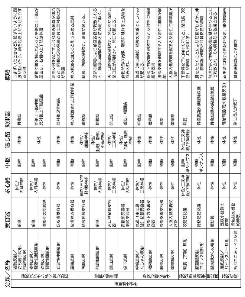 神経反射まとめ2.jpg