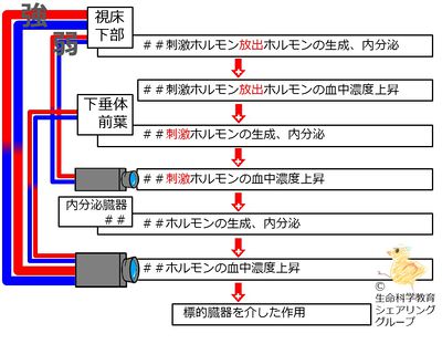 04631.jpg
