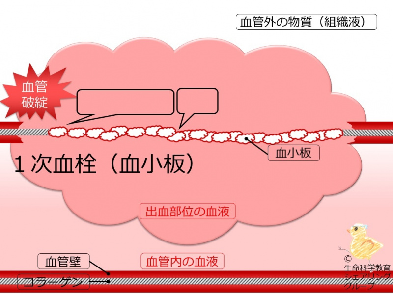 ファイル:04683-wb.jpg