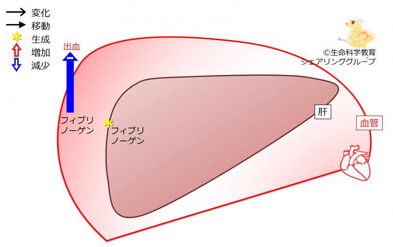 ファイル:03869-wb.jpg