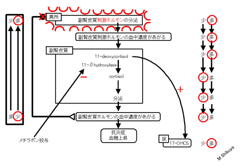 ファイル:00803.jpg