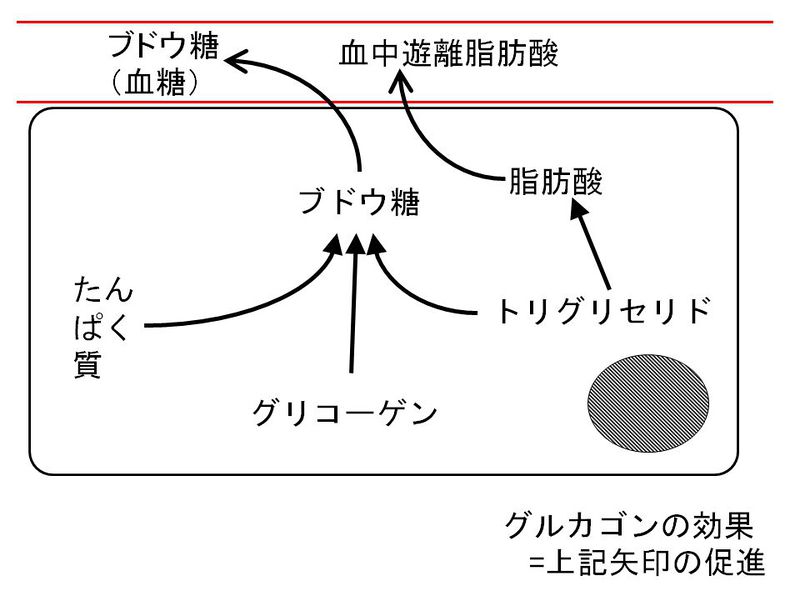 ファイル:02521.jpg