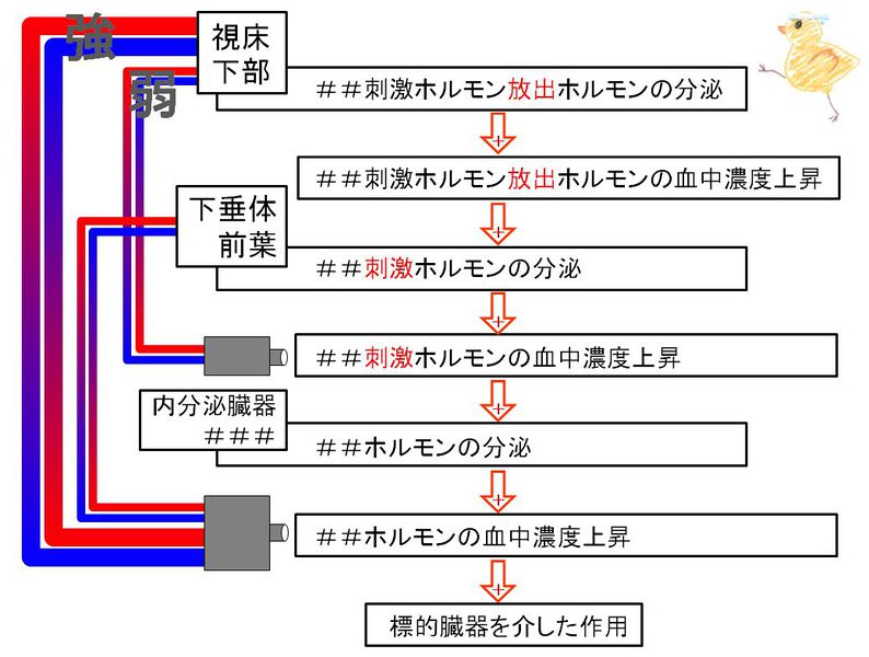 ファイル:02536.jpg