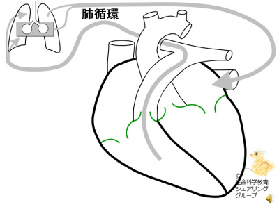 /wiki/images/thumb/a/a0/01690.jpg/400px-01690.jpg