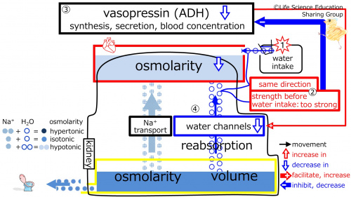ADHControlToWaterIntake2Eng.jpg