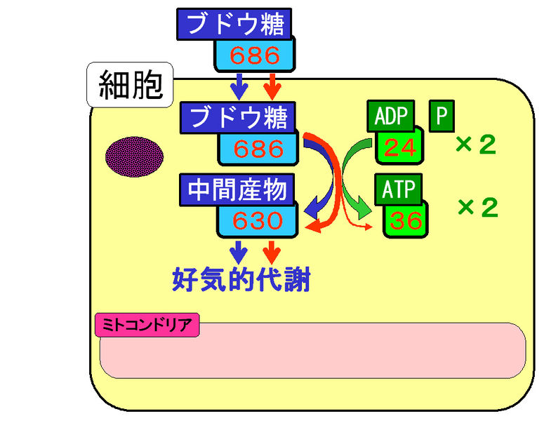 ファイル:01337.jpg