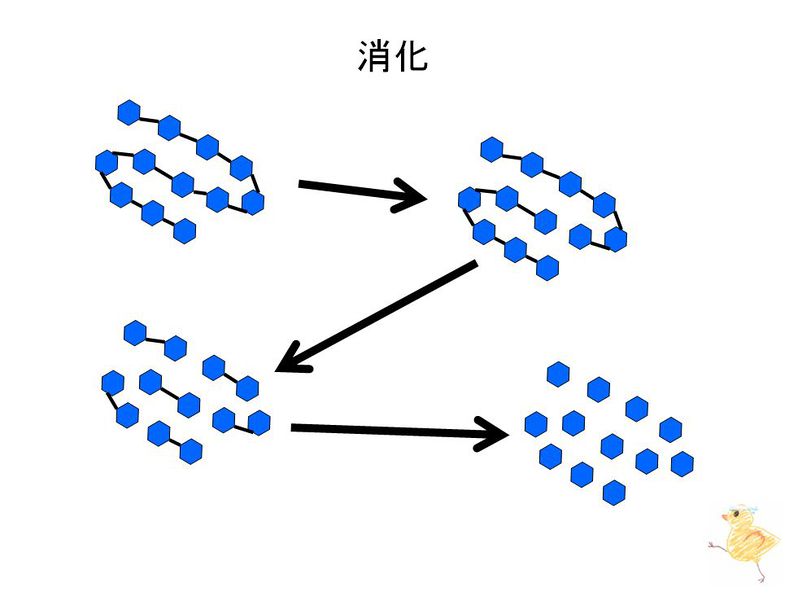 ファイル:01453.jpg