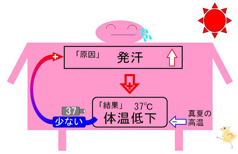 ファイル:01856.jpg