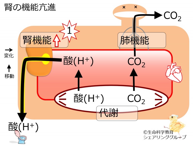 ファイル:04384-wb.jpg