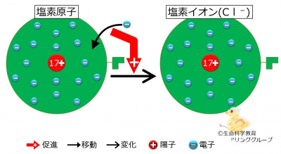 塩素のイオン.jpg