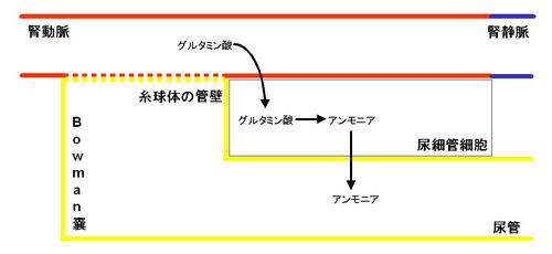 00330.jpg