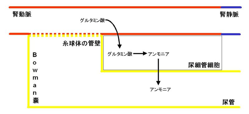ファイル:00330.jpg