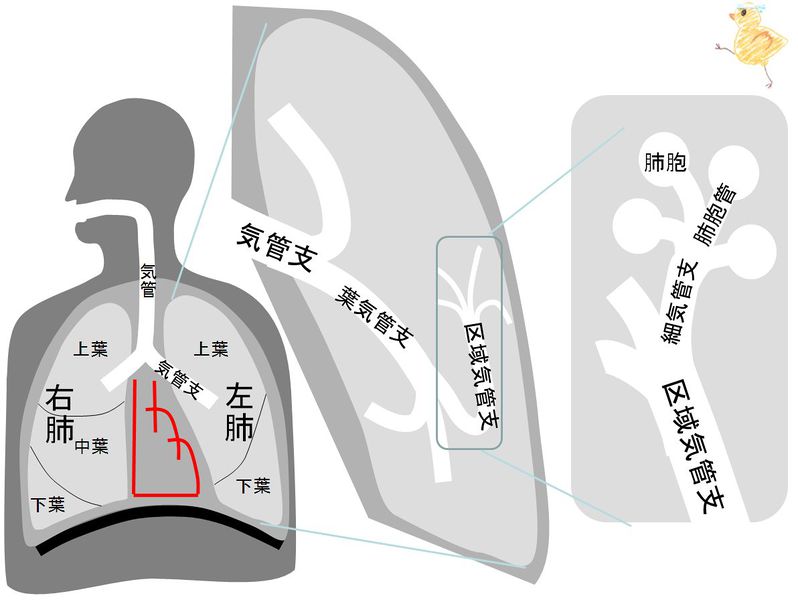 ファイル:02013.jpg
