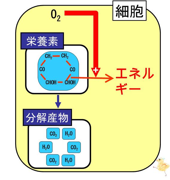 ファイル:03733.jpg
