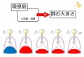 2016年12月13日 (火) 13:50時点における版のサムネイル