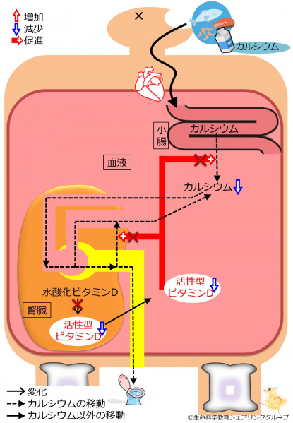 ファイル:04413.jpg