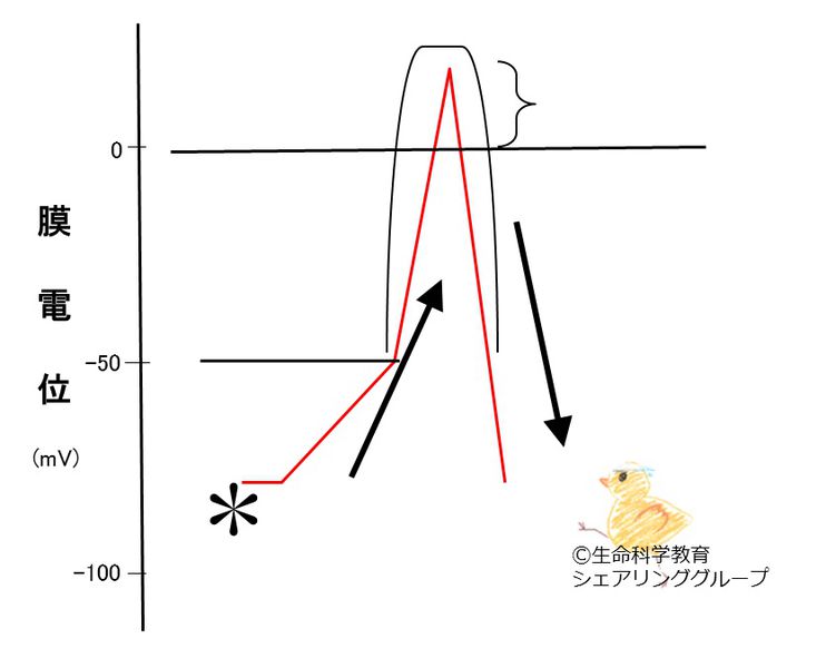 ファイル:04563.jpg