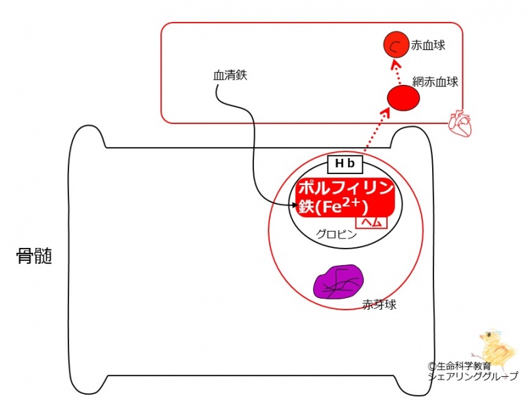 ファイル:00391.jpg