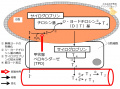 2022年3月9日 (水) 10:42時点における版のサムネイル