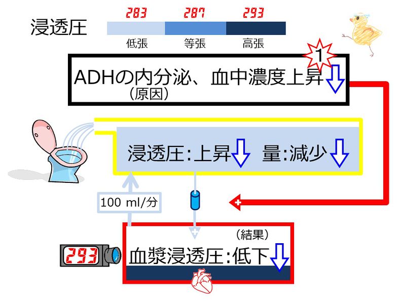 ファイル:03994.jpg