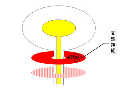 00437.jpg
