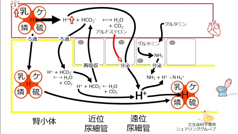ファイル:00700.jpg