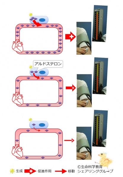 ファイル:03763.jpg