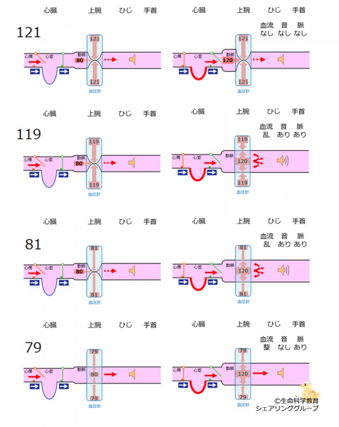 ファイル:BPmeasurementSummary.jpg