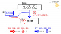 2022年1月11日 (火) 14:43時点における版のサムネイル