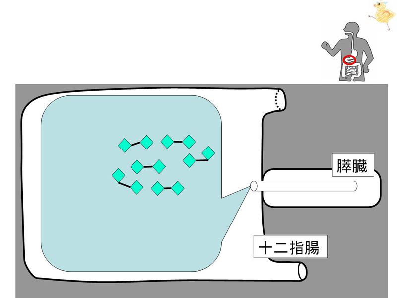 ファイル:01452.jpg