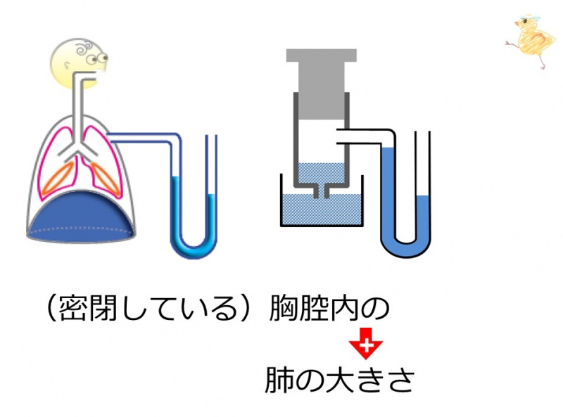 ファイル:03699-wb.jpg