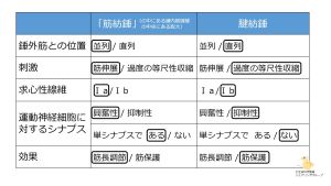 /wiki/images/thumb/a/a7/%E7%AD%8B%E7%B4%A1%E9%8C%98%E3%81%A8%E8%85%B1%E7%B4%A1%E9%8C%98%E3%81%AE%E3%81%BE%E3%81%A8%E3%82%81.jpg/300px-%E7%AD%8B%E7%B4%A1%E9%8C%98%E3%81%A8%E8%85%B1%E7%B4%A1%E9%8C%98%E3%81%AE%E3%81%BE%E3%81%A8%E3%82%81.jpg