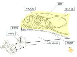 /wiki/images/thumb/a/a7/02412.jpg/300px-02412.jpg