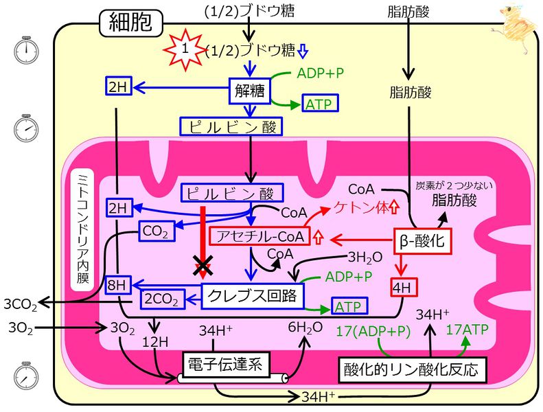 ファイル:04420.jpg