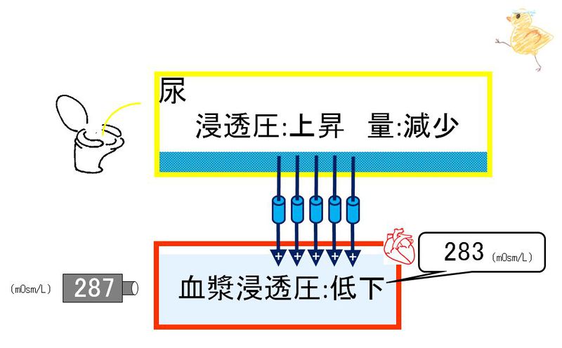 ファイル:02256.jpg