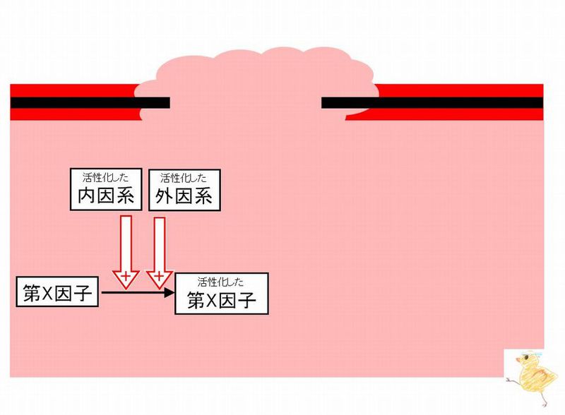 ファイル:03029.jpg