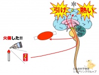 /wiki/images/thumb/a/a8/04133.jpg/200px-04133.jpg