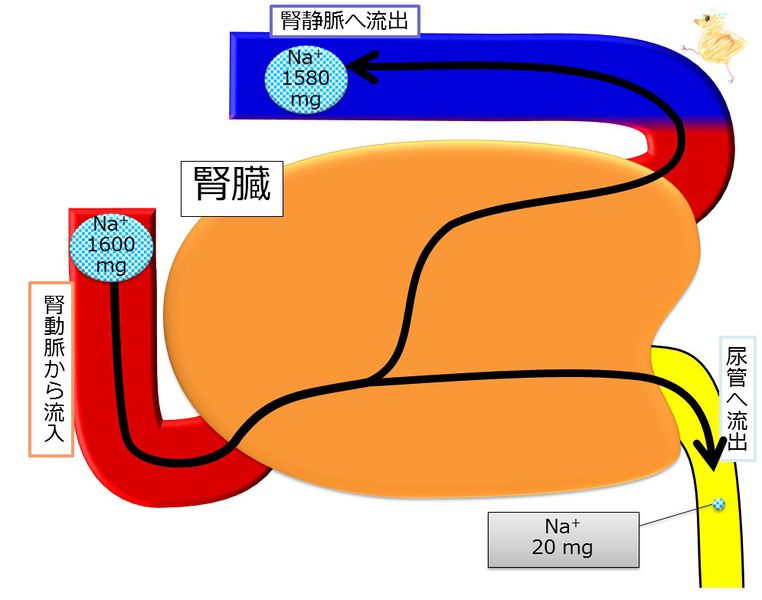 ファイル:04263.jpg